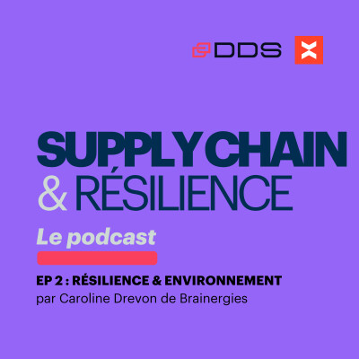 🎙️ [PODCAST VOXLOG] Supply Chain et Résilience : Résilience & Environnement